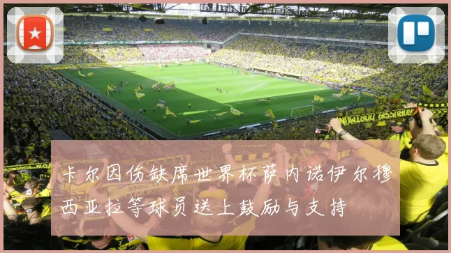 卡尔因伤缺席世界杯萨内诺伊尔穆西亚拉等球员送上鼓励与支持