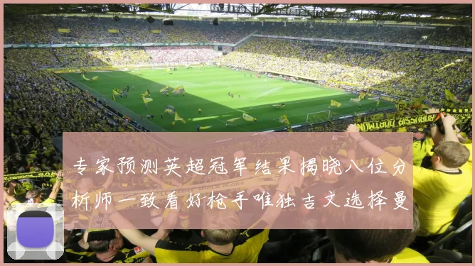 专家预测英超冠军结果揭晓八位分析师一致看好枪手唯独吉文选择曼城