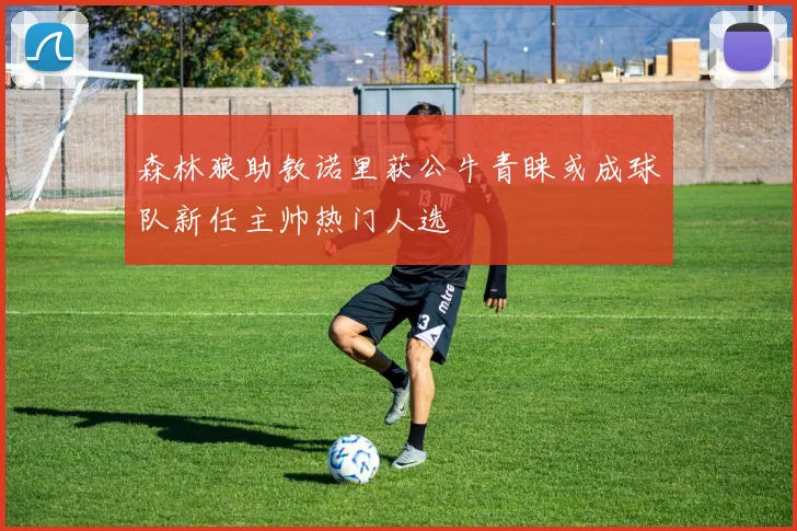 森林狼助教诺里获公牛青睐或成球队新任主帅热门人选